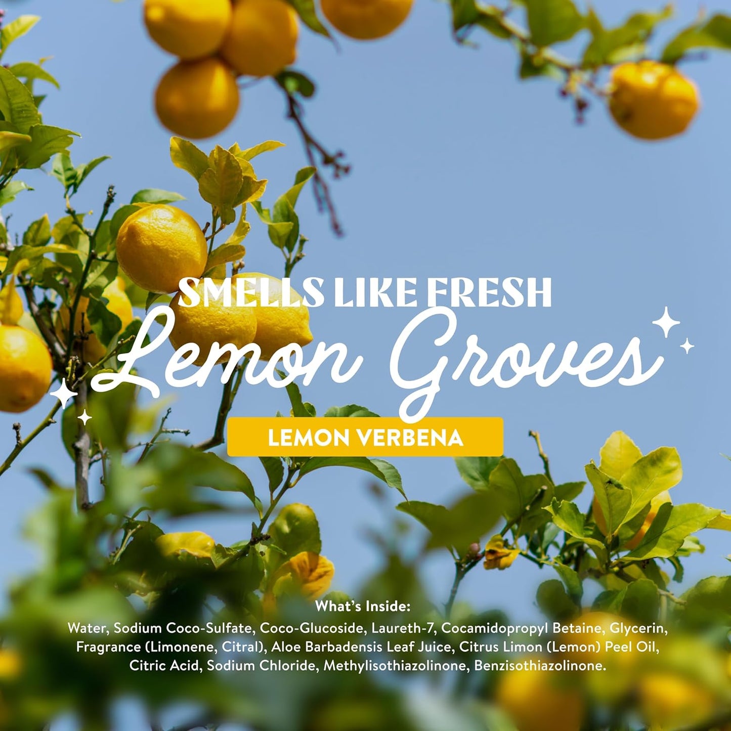 Dish Soap Liquid Refill (32Oz, 1 Pack) - Plant Based Cleaning Power - Dish Soap That Cuts Grease & Grime - Free of Harsh Chemicals - Uses 90% Less Plastic - Lemon Verbena