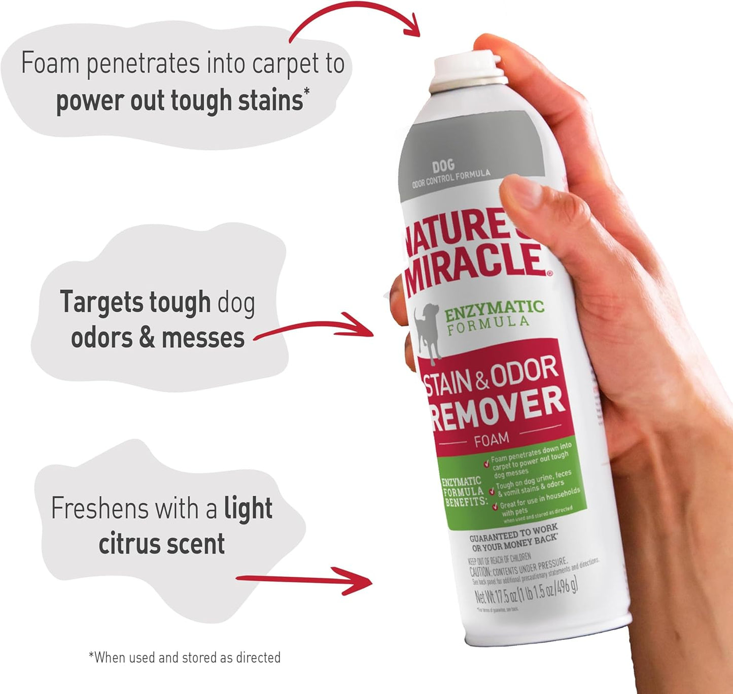 Stain & Odor Remover Foaming Aerosol for Dogs, 17.5 Oz (P-68340)