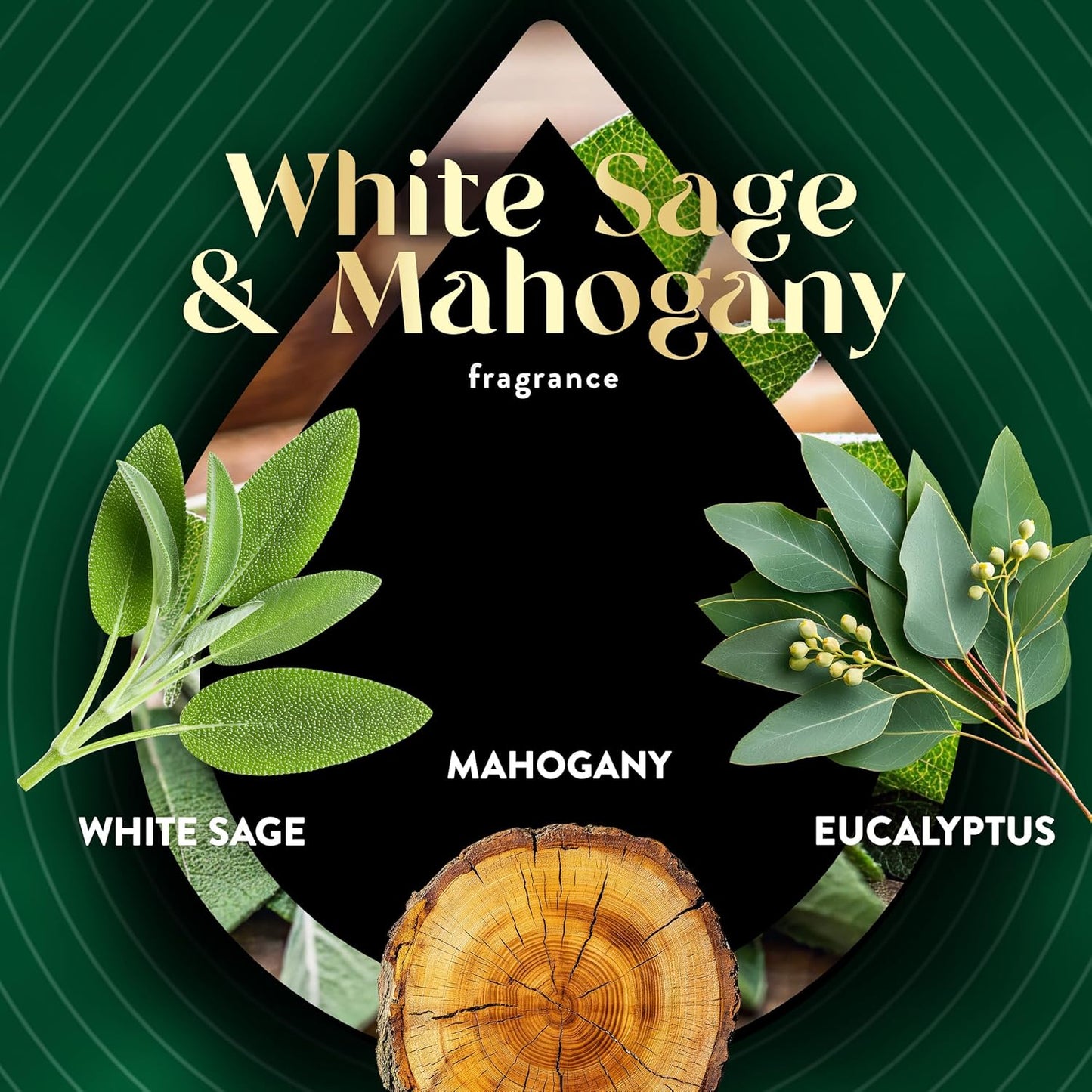 Scented Oils 0+5 White Sage & Mahogany
